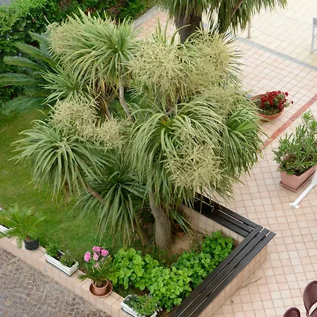 Gloria בורג'ו ורצי